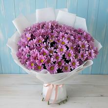 Букет цветов из:  Хризантемы в Козловке