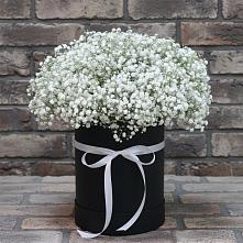 Цветочная композиция из Гипсофила в шляпной коробке в Козловке