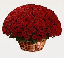 Премиум букет из: Розы в Козловке