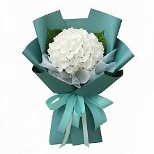 Букет цветов из:  Гортензия в Козловке